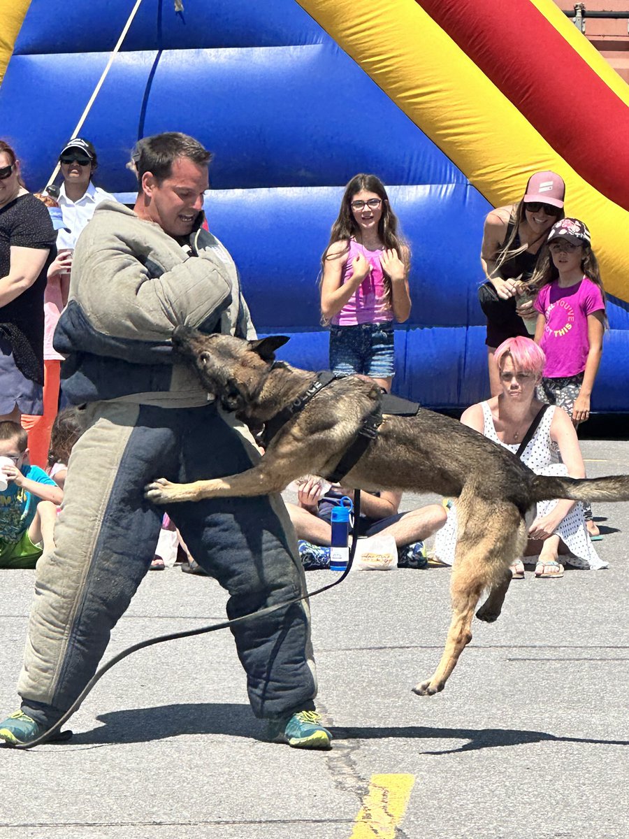 KingstonPolice's tweet photo. Today’s Kingston Police Canine demonstration at the Fun Fair was extremely well attended and Dak and Bask did not disappoint the crowd while putting on a terrific show featuring their skills and agility. #ygk #dak #bask https://t.co/c4eTtdZGqP