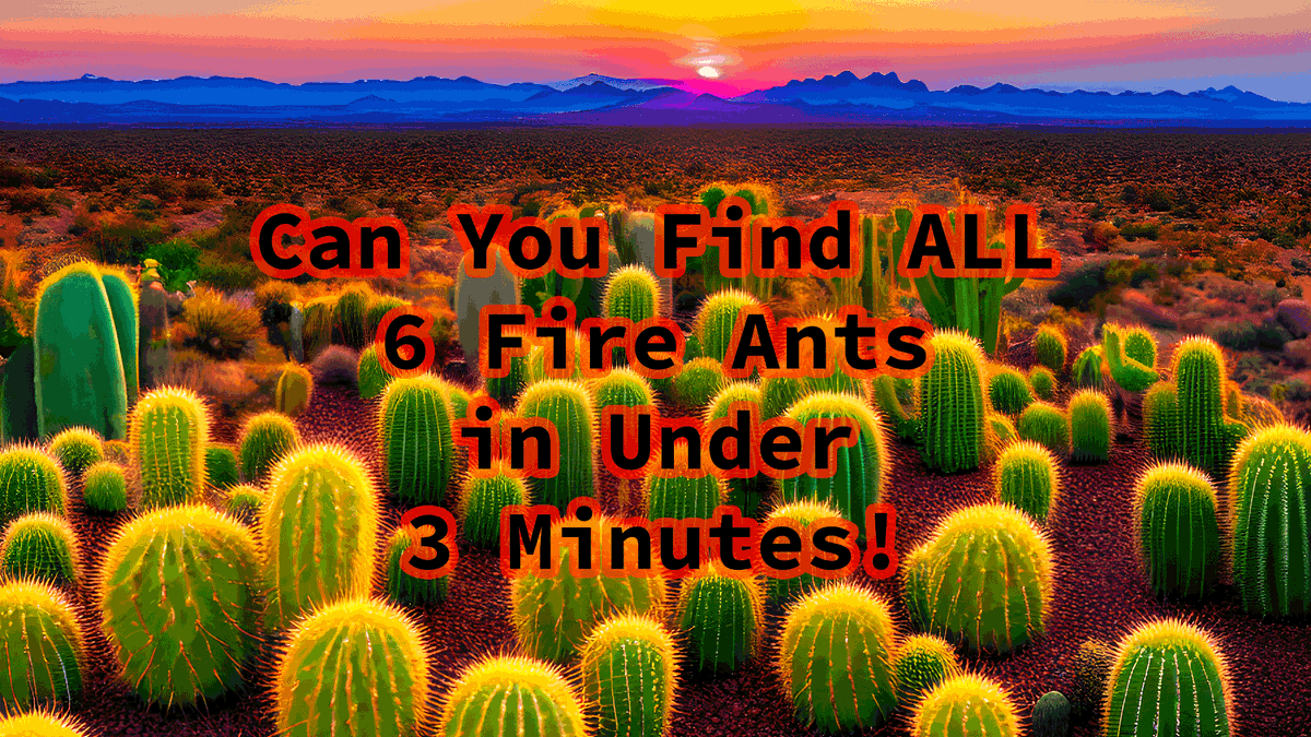HiddenInAI's tweet image. Can You Find All 6 Fire Ants in the Sunset Desert Scene
Play the game now!
youtu.be/Yo_jJCt4uVU

#hiddenobject
#hiddenobjects
#hiddenobjectgame
#fireants
#findants
#aiimage
#aiimages
#videogame
#challenge 
#challenging 
#ChallengeAccepted