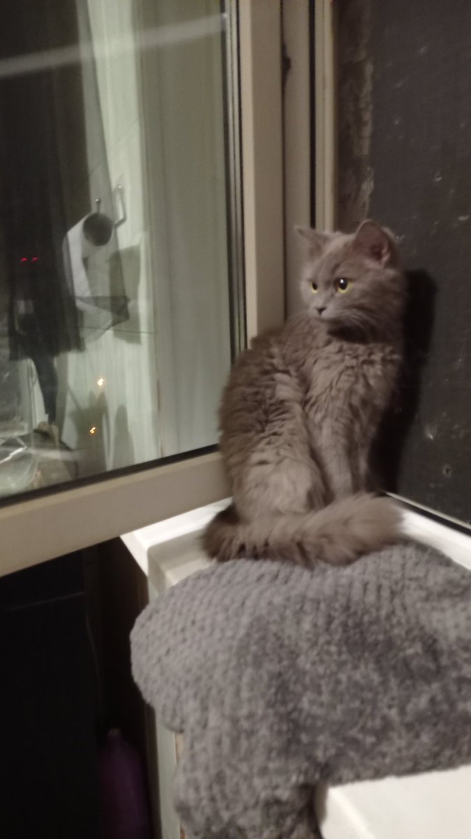 Орбитальный Пивоносец Сизый Нос (@_ir4i_) on Twitter photo 