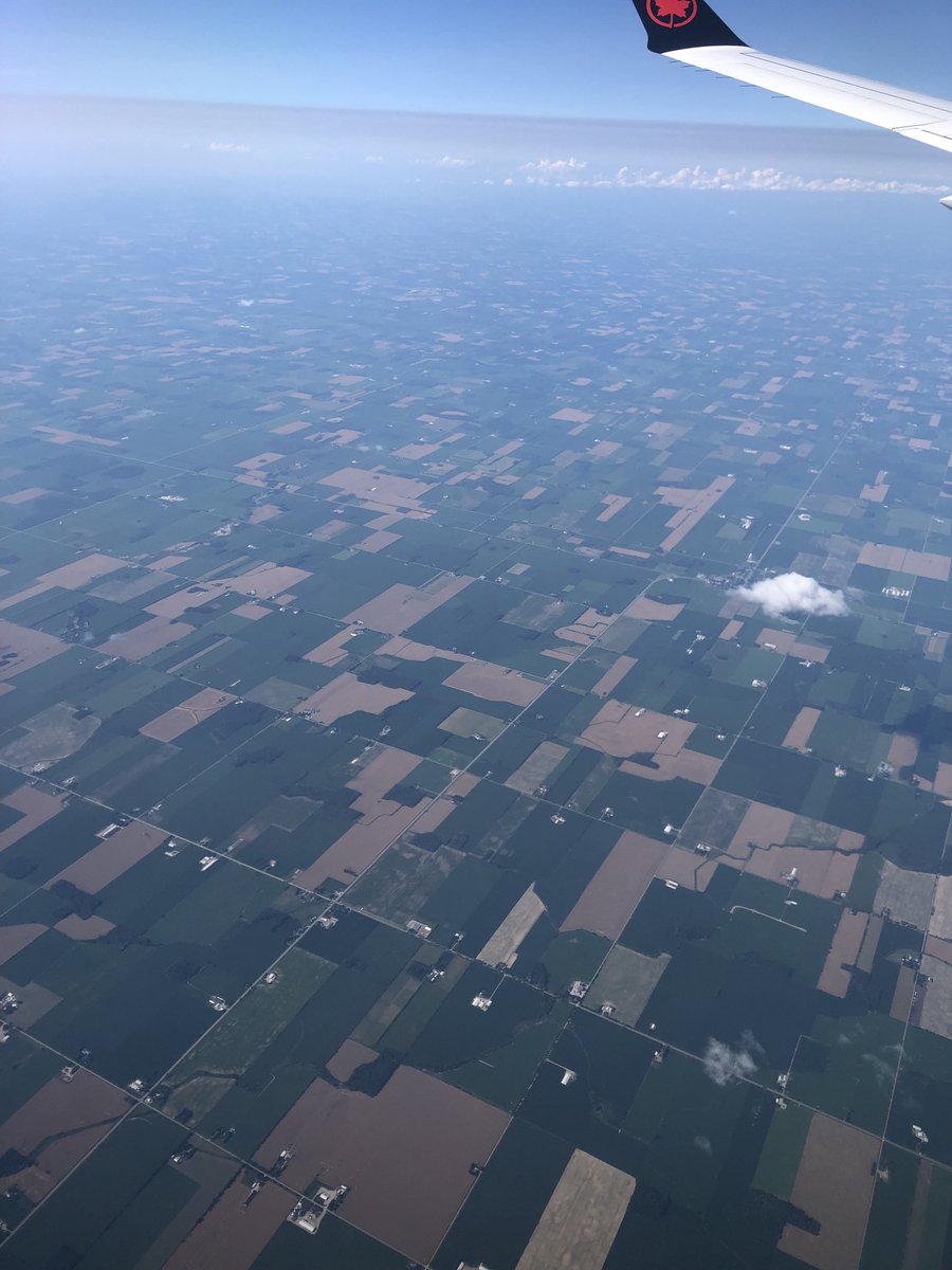 Easy to identify all the wheat fields in Huron County (Ontario) today.