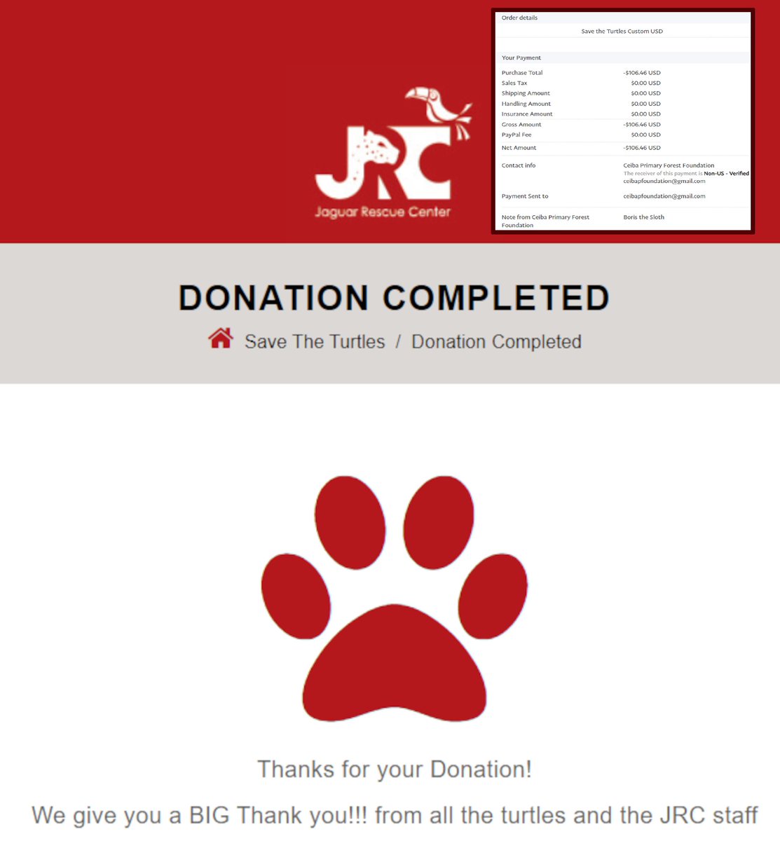 Boris the Sloth 🐨Play Now!🦥 tweet media