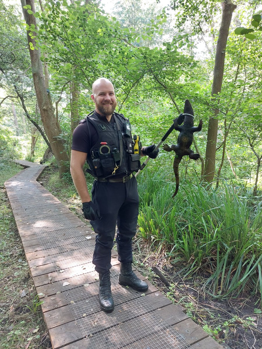 IpswichPolice's tweet photo. Unusual incident came in yesterday am - report of a baby crocodile in the #Foxhall area! Officers made a snappy arrival expecting some crocodile wrestling... but it turned out to be a false alarm this time (phew!). Plastic croc has now been removed from the stream... #1628 https://t.co/h3XBonWX2D