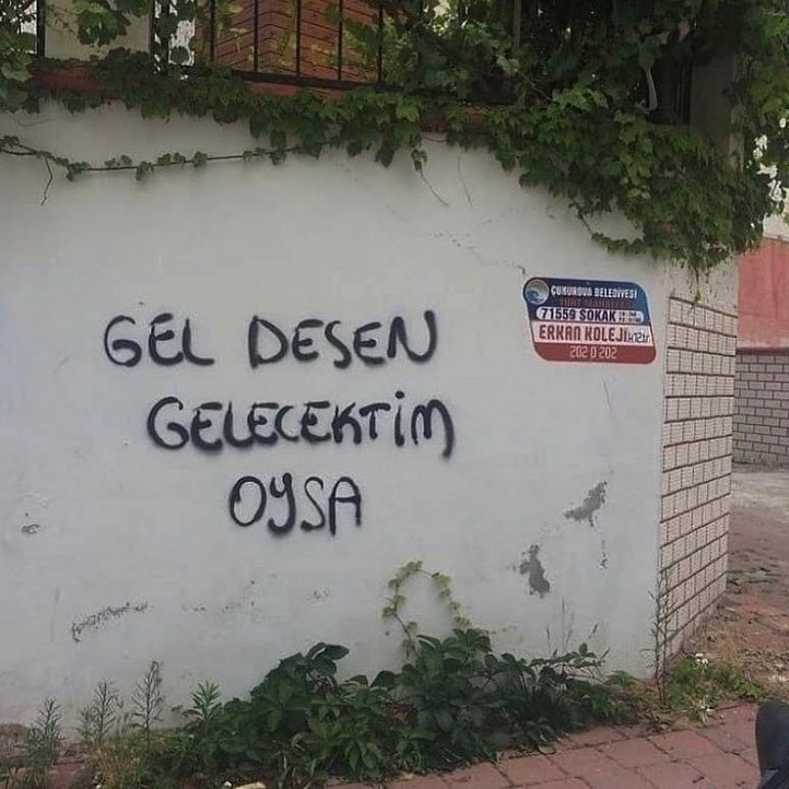 fuzuli1kayip's tweet photo. gel demedin https://t.co/ftzl1Baq5X