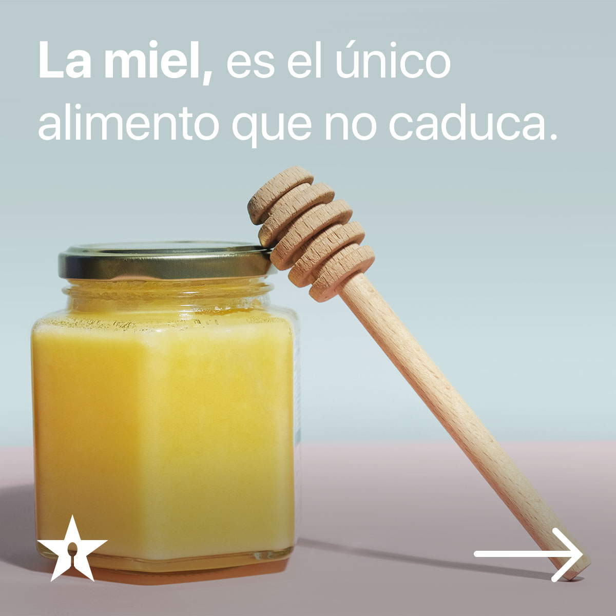 MealstarA's tweet photo. ¿Qué datos curiosos de los alimentos conoces tu? 

Cuéntanos mientras te pre-registras para ser la primera persona en disfrutar de nuestra app 

Todo está aquí: 
🤩https://t.co/lphwhlkHFF 🤩

#comidacasera #comidamexicana #foodies #mealstar https://t.co/nL3fFM9cED