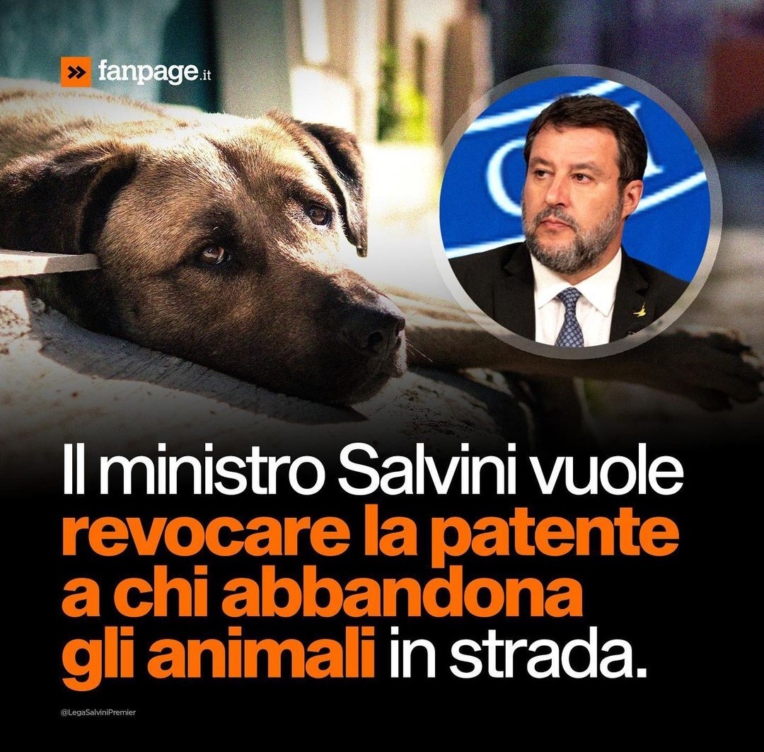 Minimo la revoca 👍✌️