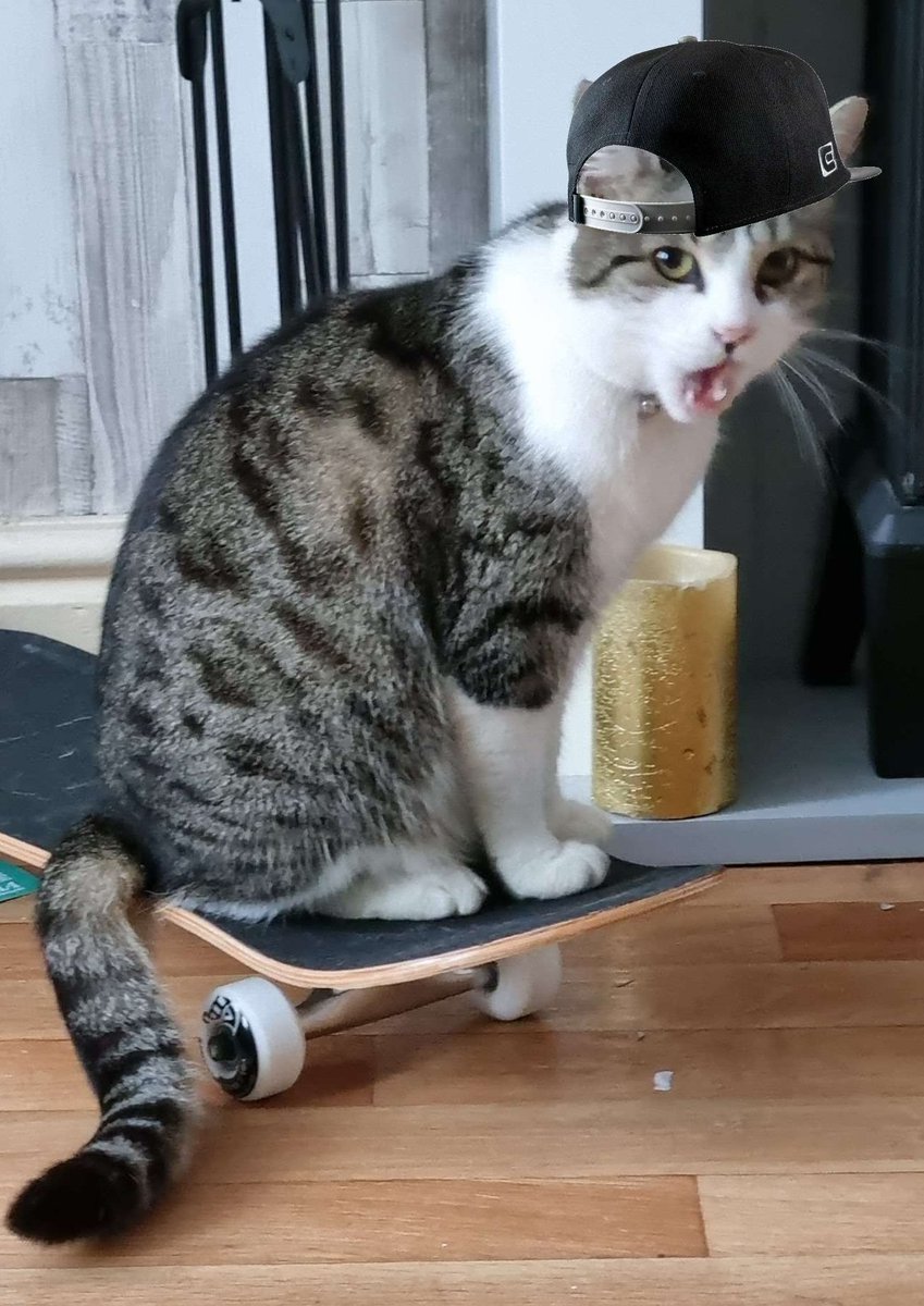 mrteddycat's tweet photo. Skating legend 😎🤙 https://t.co/v1ATkmbX1T