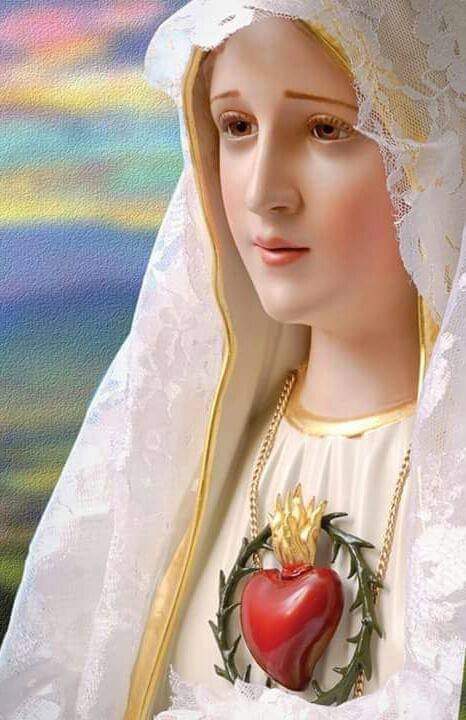 AJesusporMaria5's tweet image. ¡Oh Corazón Inmaculado de María, compadeceos de nosotros! ¡Refugio de pecadores, rogad por nosotros! ¡Oh Dulce Corazón de María, sed la salvación mía!