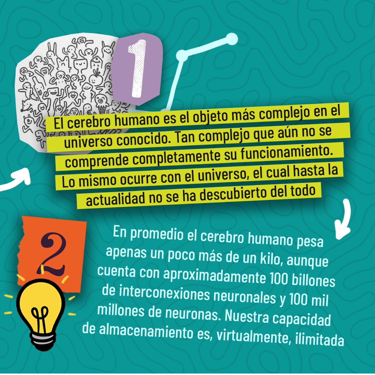 PsiPro_ar's tweet photo. Como cada 22 de julio, celebramos el #DíaMundialDelCerebro y hoy te traemos 5 curiosidades para ponerle color al día. También, podés entrenar tu memoria y contar esto en el asado del domingo (y acordate de comer verduras que le hacen bien a tu cerebro)
#PsiPro https://t.co/OAtaD3w5ZC