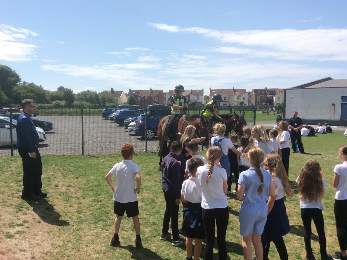 Ashcombe School tweet media