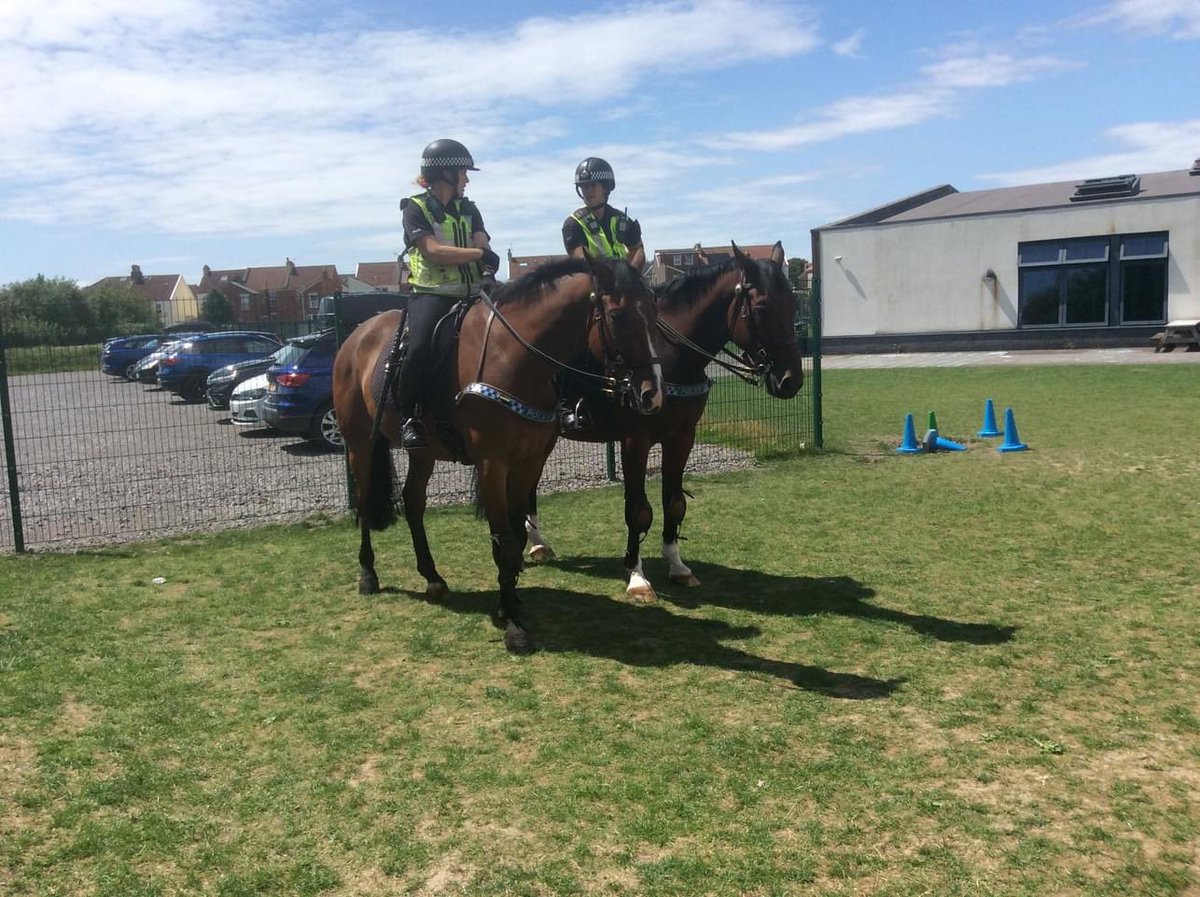 Ashcombe School tweet media