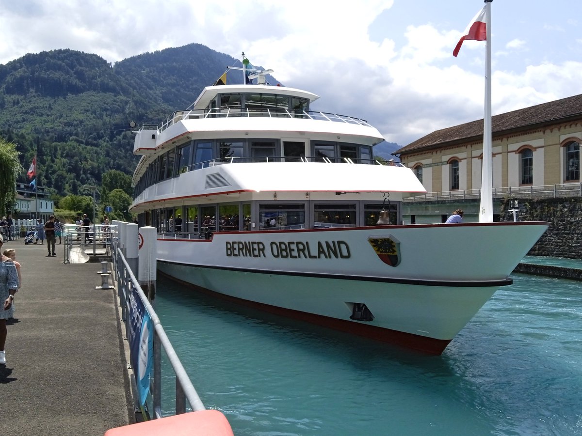 Mister Al tweet media