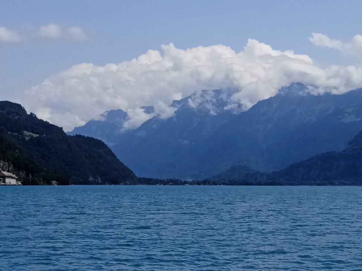 Mister Al tweet media