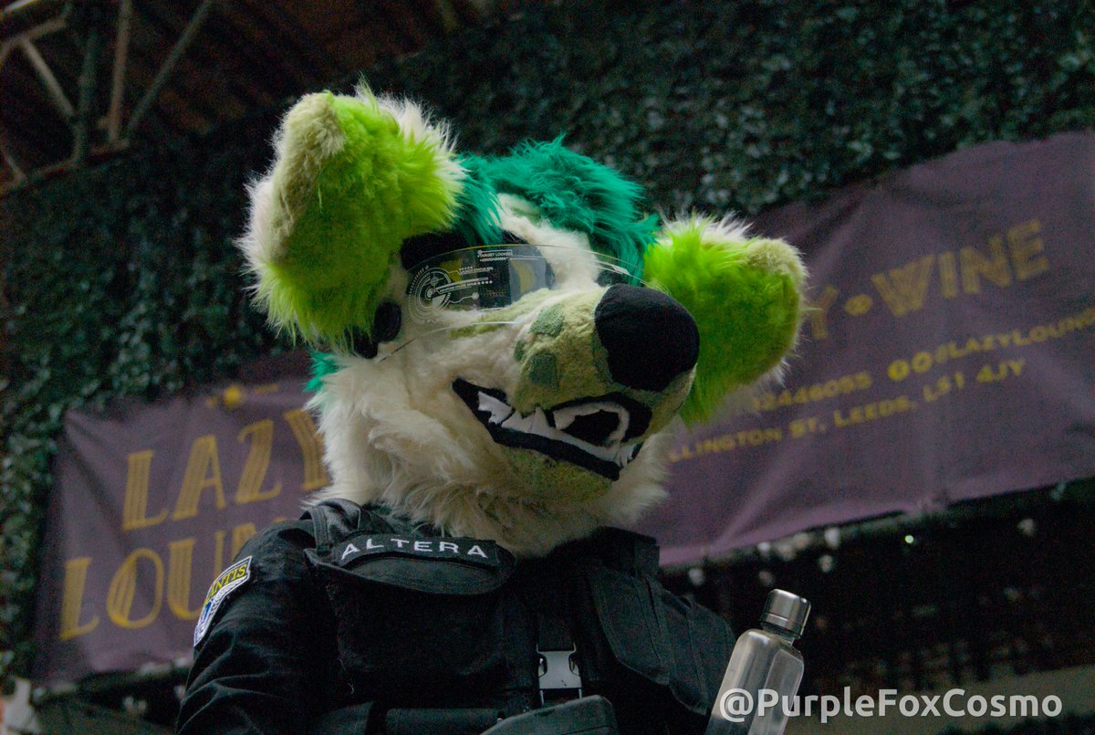 PurpleFoxCosmo's tweet photo. It's @LeedsFurs time again!
Thank you to everyone who attended, had a great time! :3
Photos below, tag if you know anyone in them! https://t.co/y8gUYS9J3X