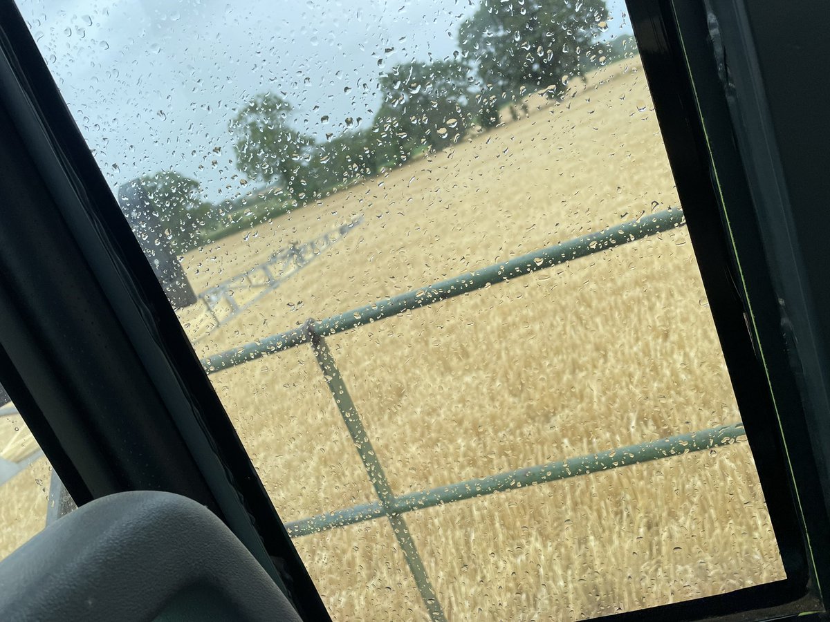 Rob Cannell tweet media