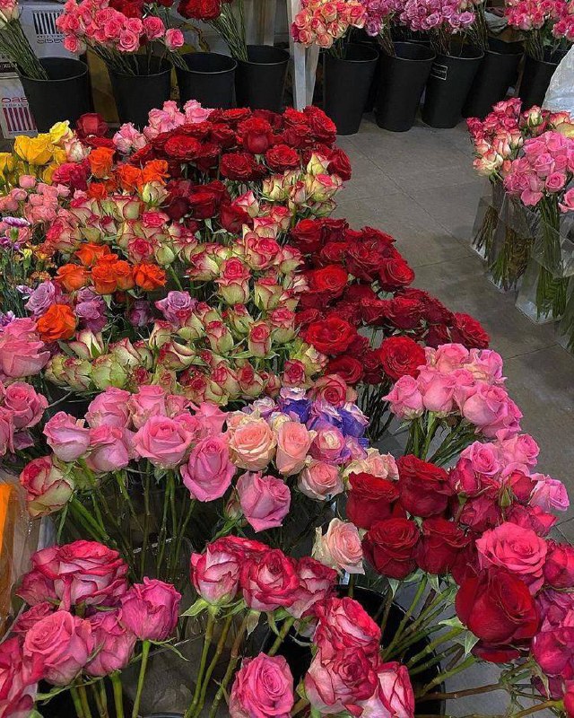 Colorful flowers ❤️
