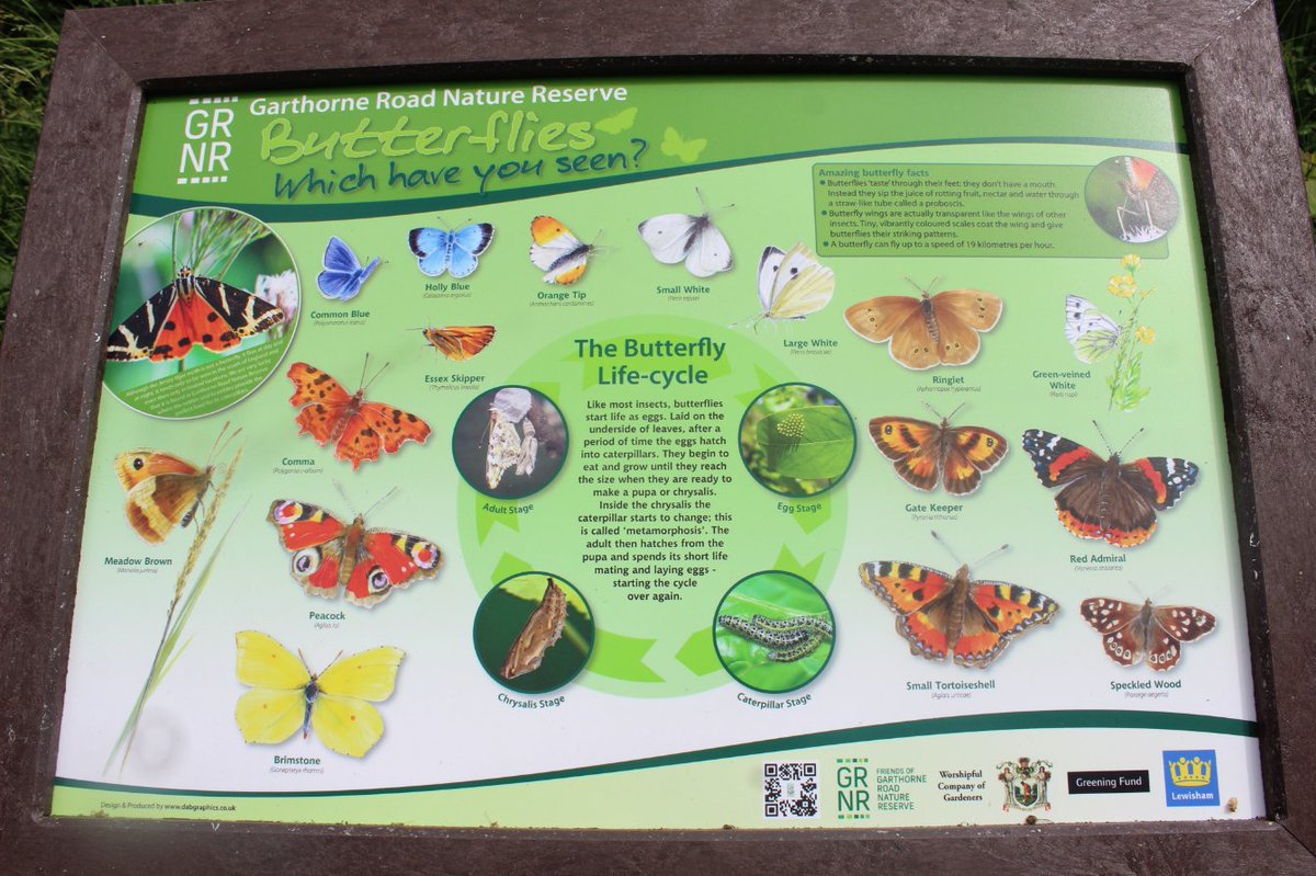 Our new interpretation boards recently installed and funded by Lewisham Council Biodiversity Partnership Kenneth White Legacy Award and The Worshipful Company of Gardeners #lewisham #GardenLiveryCo