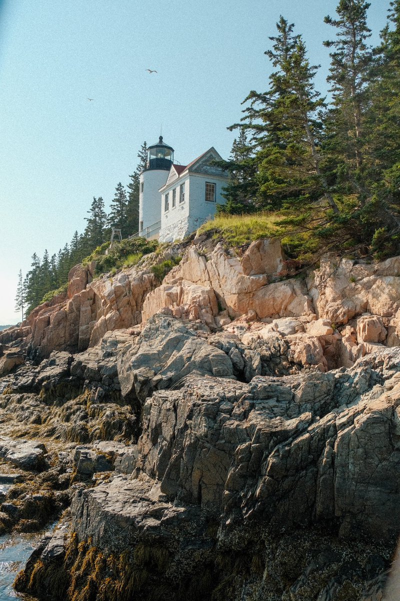 Bass Harbor Head Lighthouse #acadianationalpark #maine