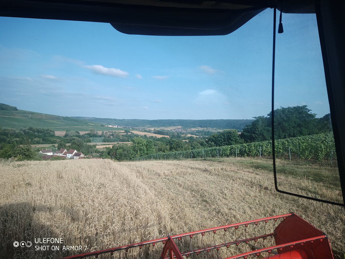 les_coqs51's tweet photo. Moisson en champagne avec vue sur la vallée de Marne
#FrAgTw https://t.co/yRDRby96dn