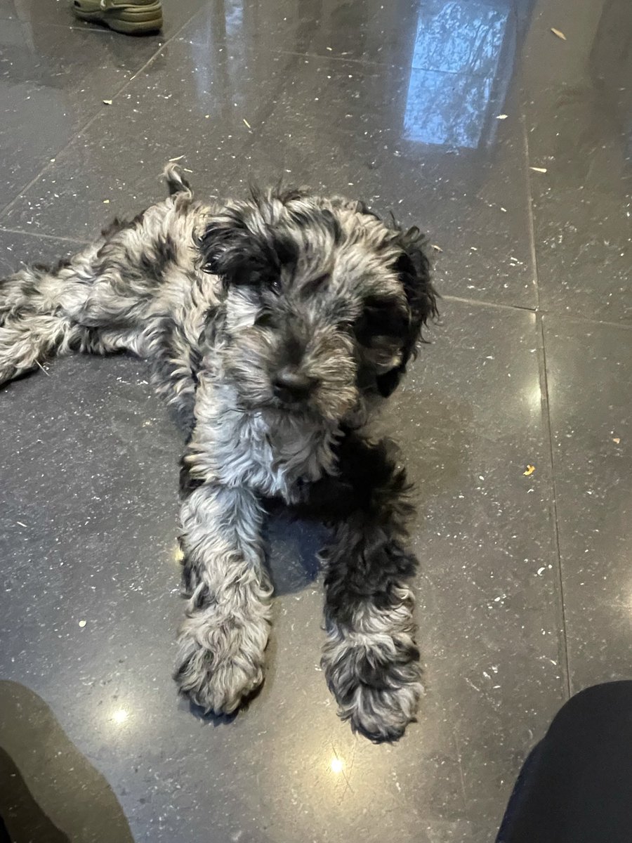 Natasha Roe tweet media