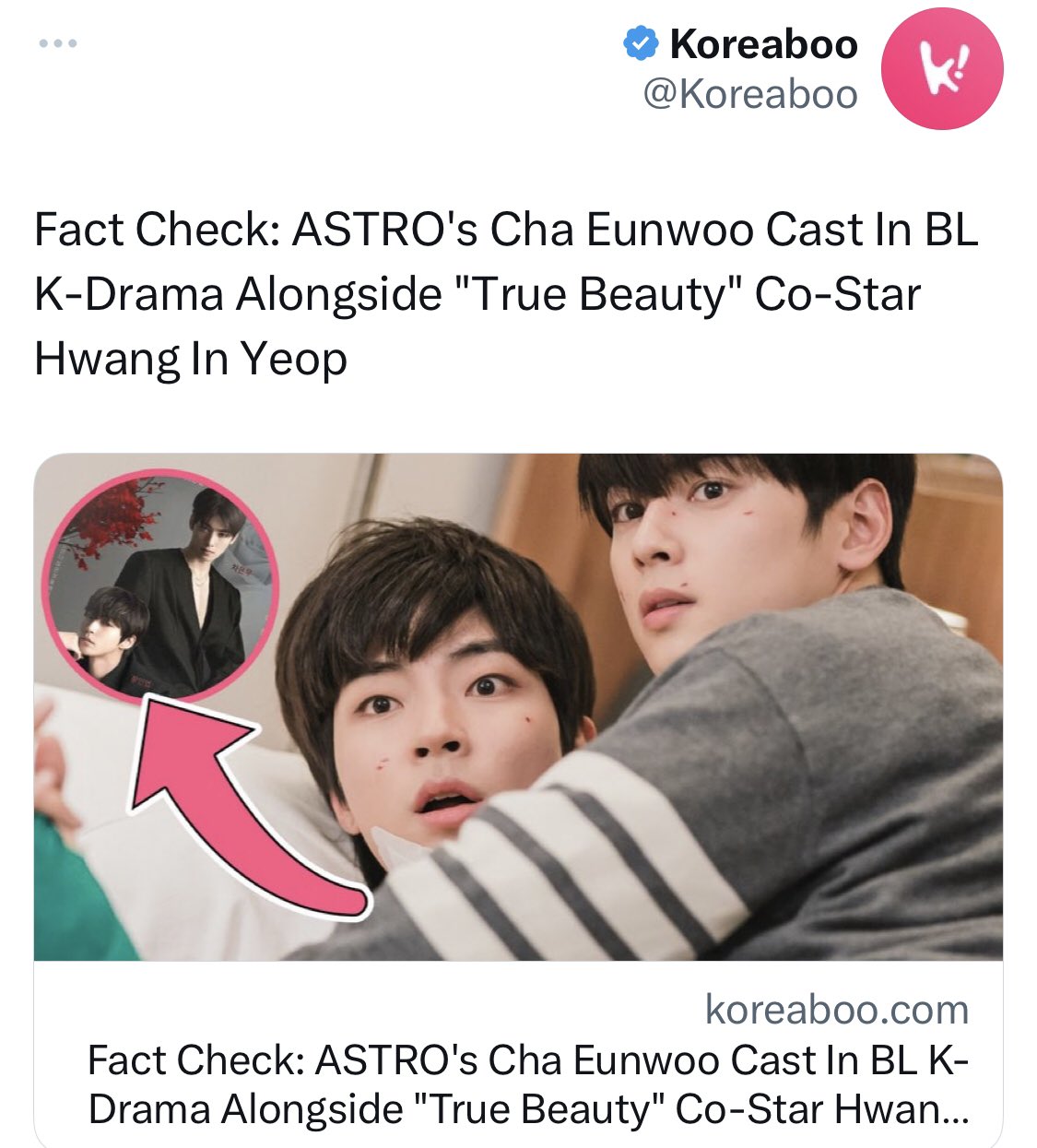 Fact Check: ASTRO's Cha Eunwoo Cast In BL K-Drama Alongside True