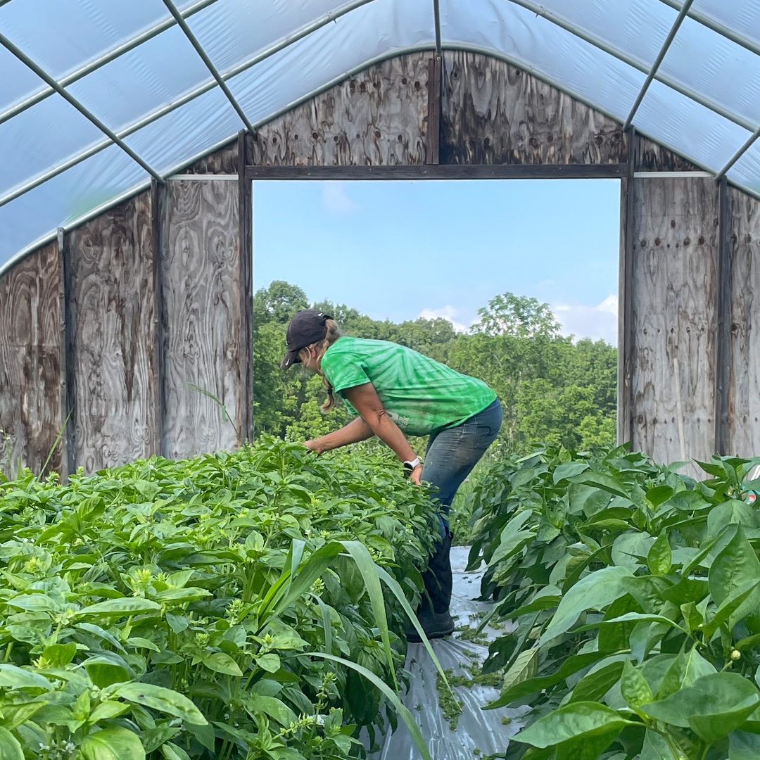 We know you've been busy! This week we hope you can take down time in the evenings and join us ONLINE at the #NOFASummerConference from 5-8:15pm Mon-Thurs. Sat content will be share online too, and in-person at <a href="/WorcesterState/">Worcester State</a> nofasummerconference.org