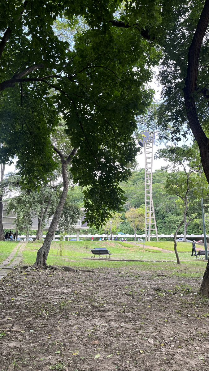 Jesús Palacios Chacín tweet media