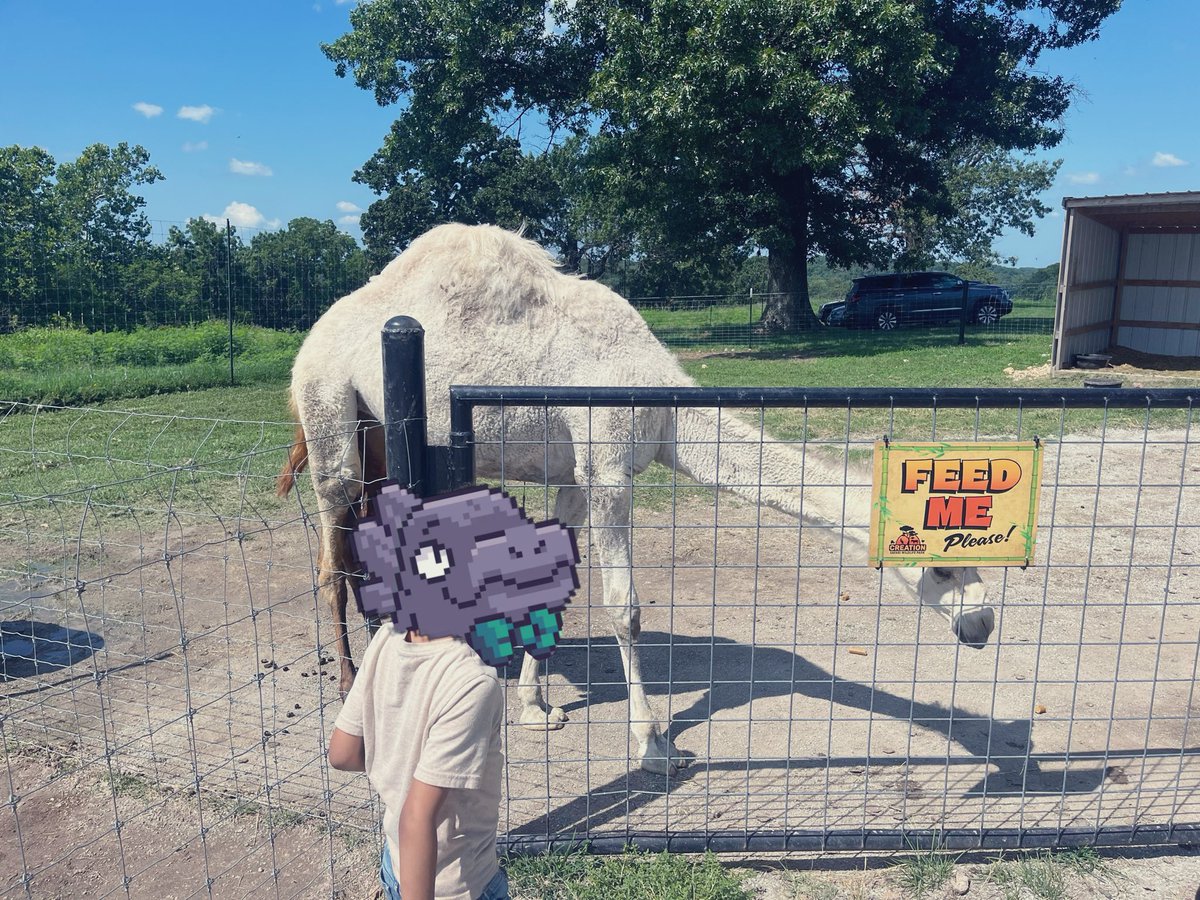 Quick detour to the petting zoo… 🚙🛣️

Taking my wild animals to see the tame ones. 👀🦖

Hopefully the baby Kaijus pick up some tips from the well mannered mammals here 🦝🦆

#KaijuWorldwide