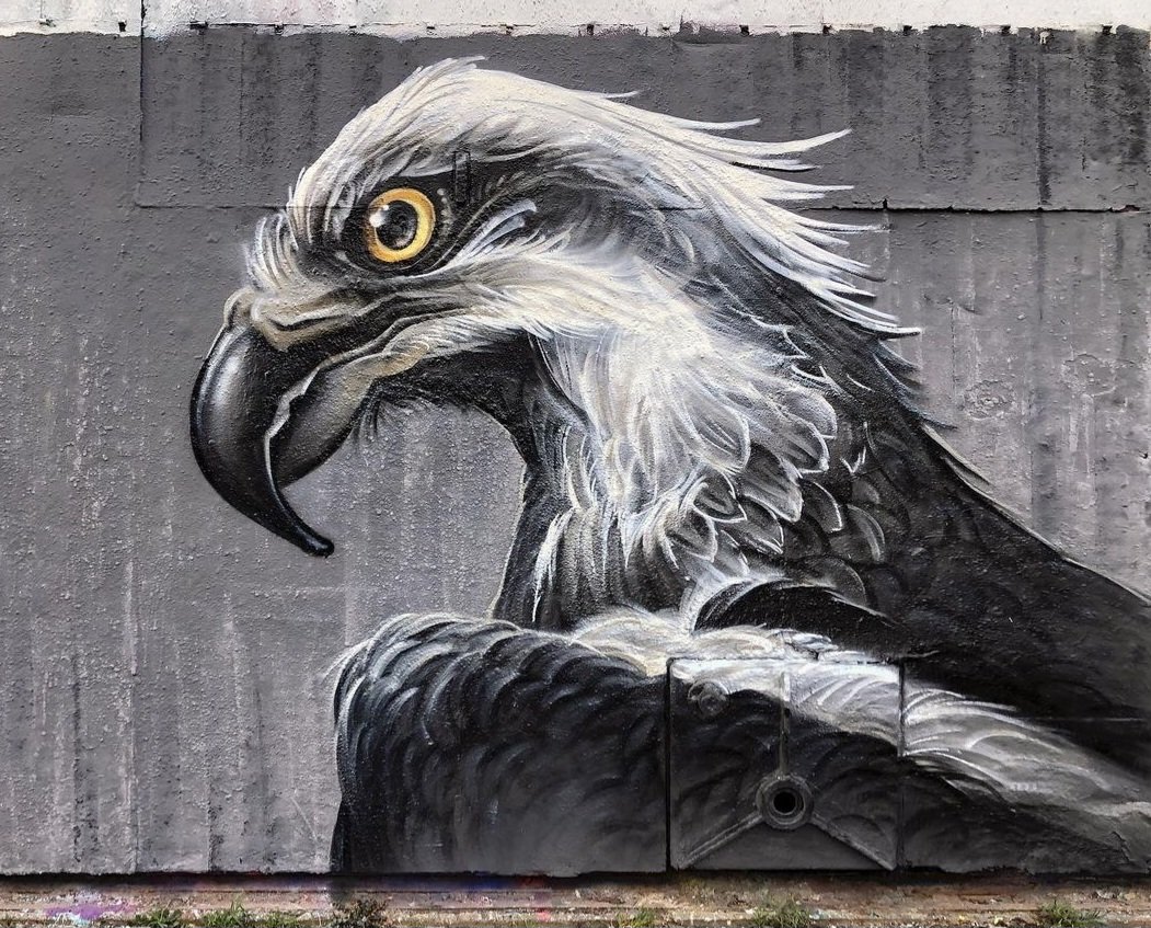 MolinaStreetArt's tweet photo. 'Speedlight by Dutch Simbl in Amsterdam, Netherlands (2021) #janstel #simbl #streetart #lamolinastreetart ๐ท via artist https://t.co/LX4KstQciR