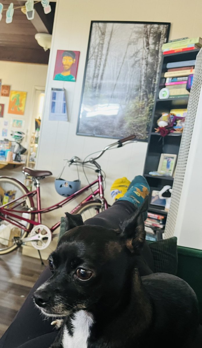 Lazy Saturday. 🐶 🚲