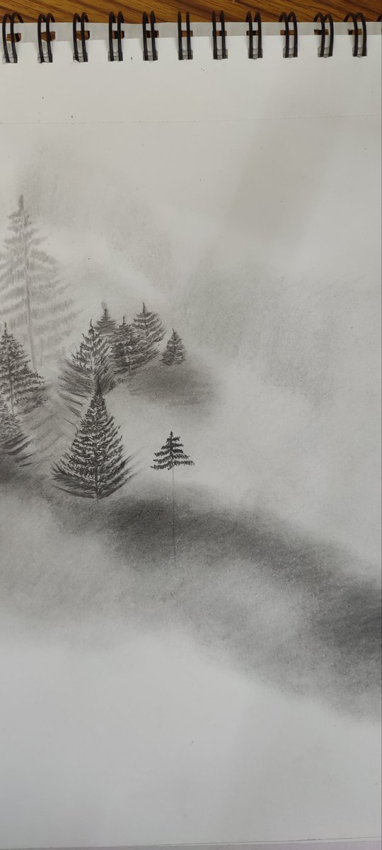 Work in progress
What do you think??
.
.
#artworks #art #drawing #pencilsketch #sketch #sketchart