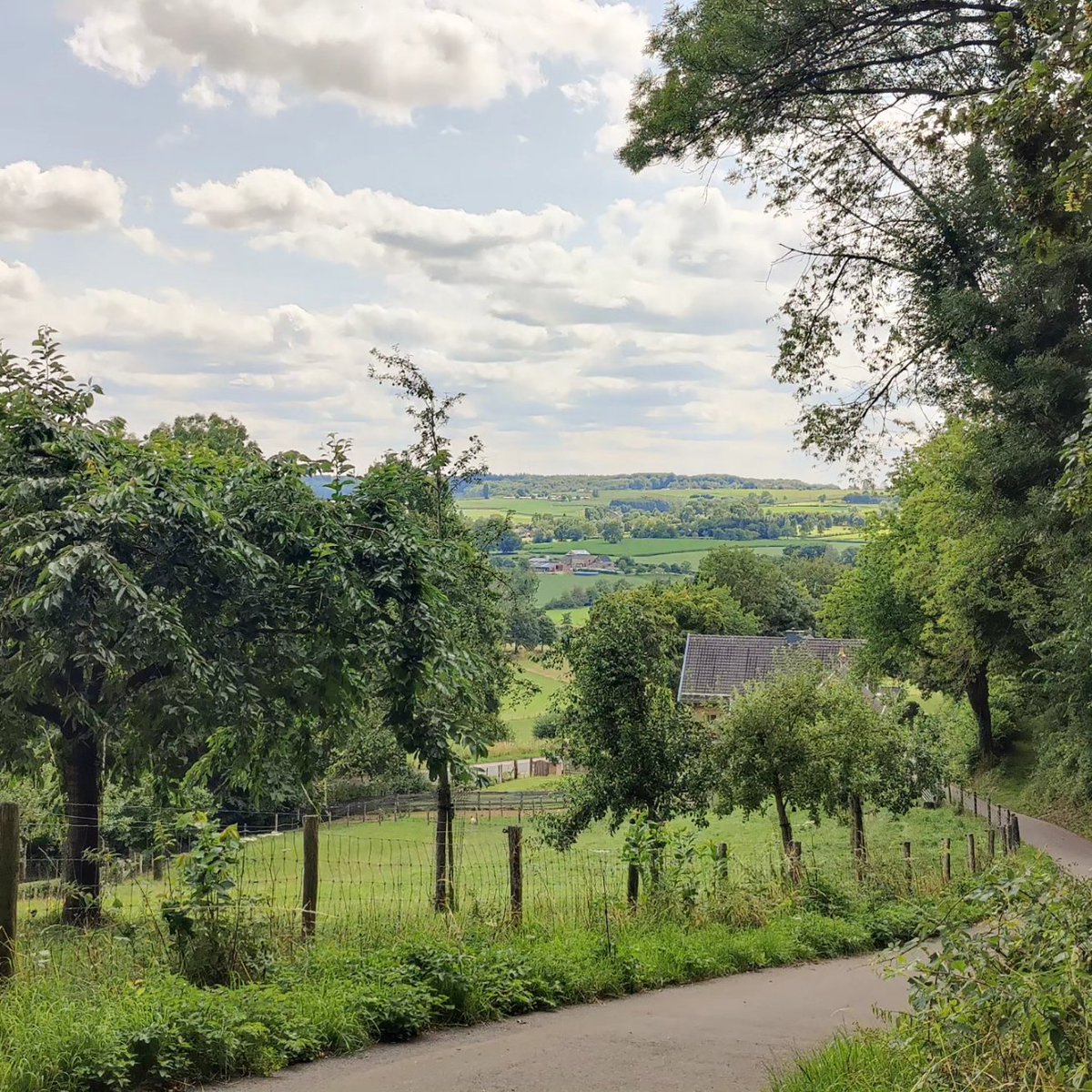 Ik ben weer helemaal 💚 op Zuid-Limburg. 📷 Rode Kruisweg Slenaken <a href="/magnifiekZL/">Magnifiek Zuid-Limburg</a>