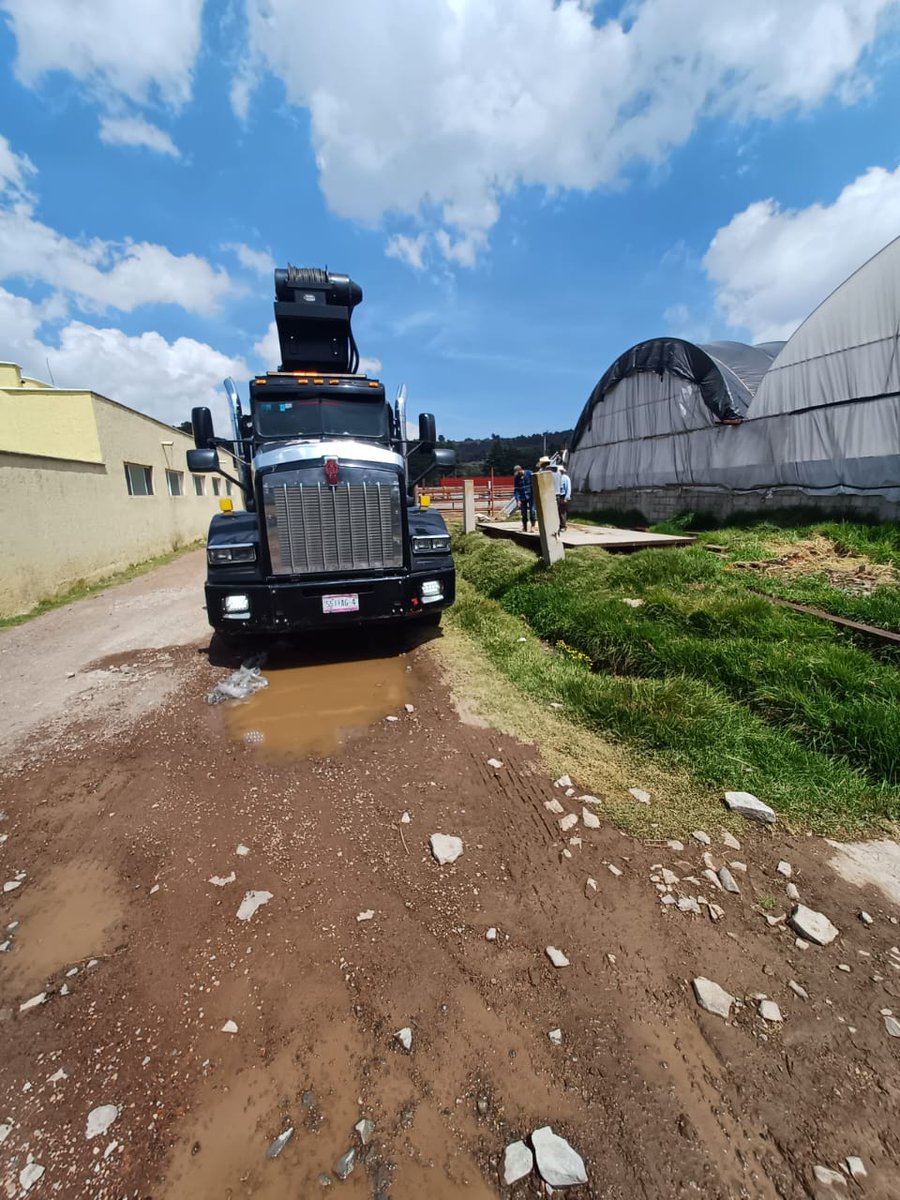 Arrendamiento de grúa industrial tipo titán con pluma hidráulica de hasta 45 m llámanos al 56 21 16 48 76
#gangłysego #FreenBeckyFBinHongKong #famemma #GOAT𓃵 #DiaMundialDelPerro #LollaParis