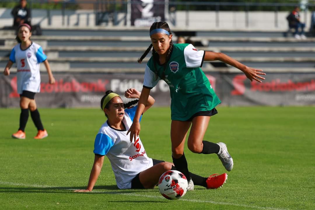Miavillalpando_'s tweet photo. San Diego➡️Virginia➡️NorthCarolina
➡️Toluca - in 10 days‼️ All for the ❤️ of the game ⚽️ #nacionales #futbolista #ceffo #tijuana #toluca #worldcup #mexico #futbolfemenino #vamos https://t.co/xtqXRjlFpI