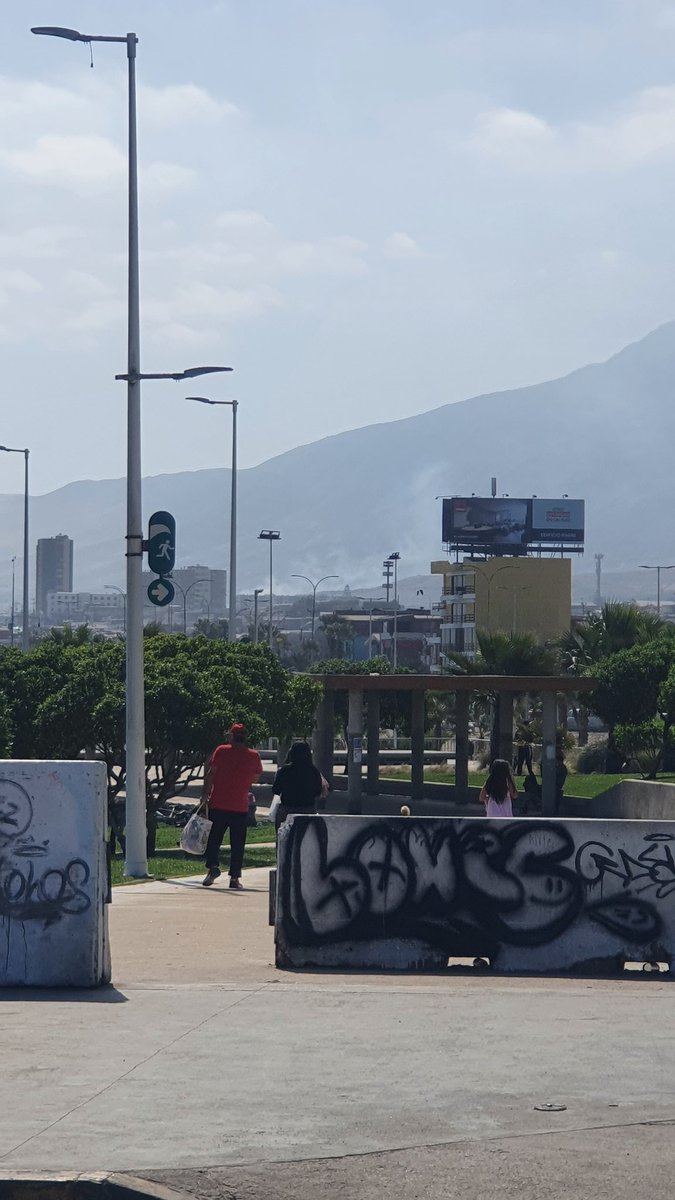 ayory's tweet photo. @ciudadanovidela @ministeriosalud Hoy sábado a las 12:30 aún botaba humo tóxico ... Por q estos personajes no hacen esas quemas en llacolen, jardines del sur, coviefi o parque inglés, si a ya también hay arto terreno baldío 😒, por qué saben que no van a poder prender ni un fosforo y detenido de inmediato https://t.co/uHrefxxbop
