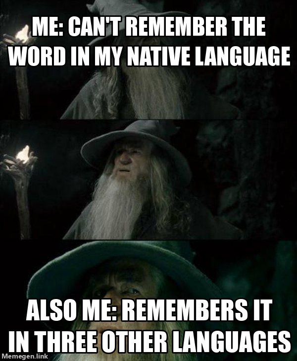 _yipofficial's tweet photo. When you know you have learnt too many languages! 🤣🤣
#Languagelearning #Polyglotproblems #Langtwt https://t.co/yOdTKKOg2j