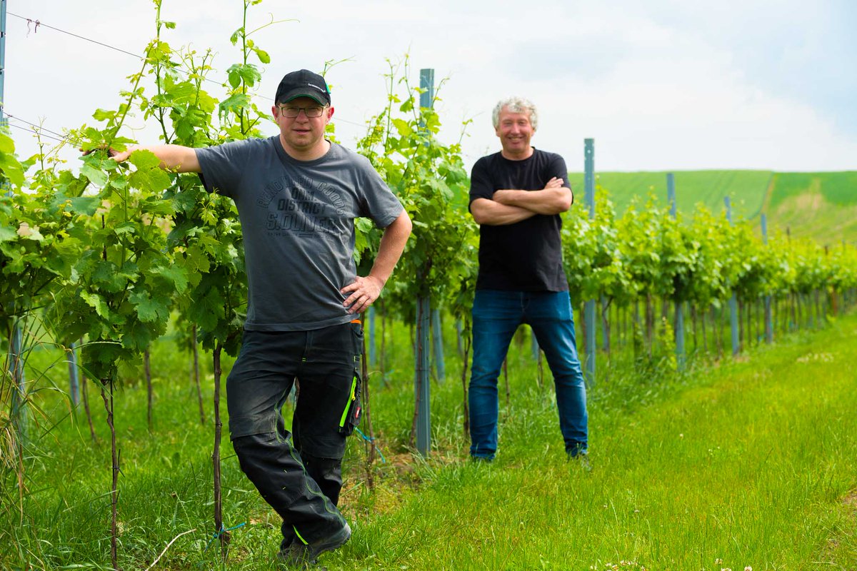 Gauntleys Fine Wine tweet media