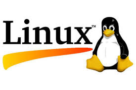 Nat0une_'s tweet photo. @AutreSait Linux les détruits tous les deux https://t.co/gVpgJjLDwq