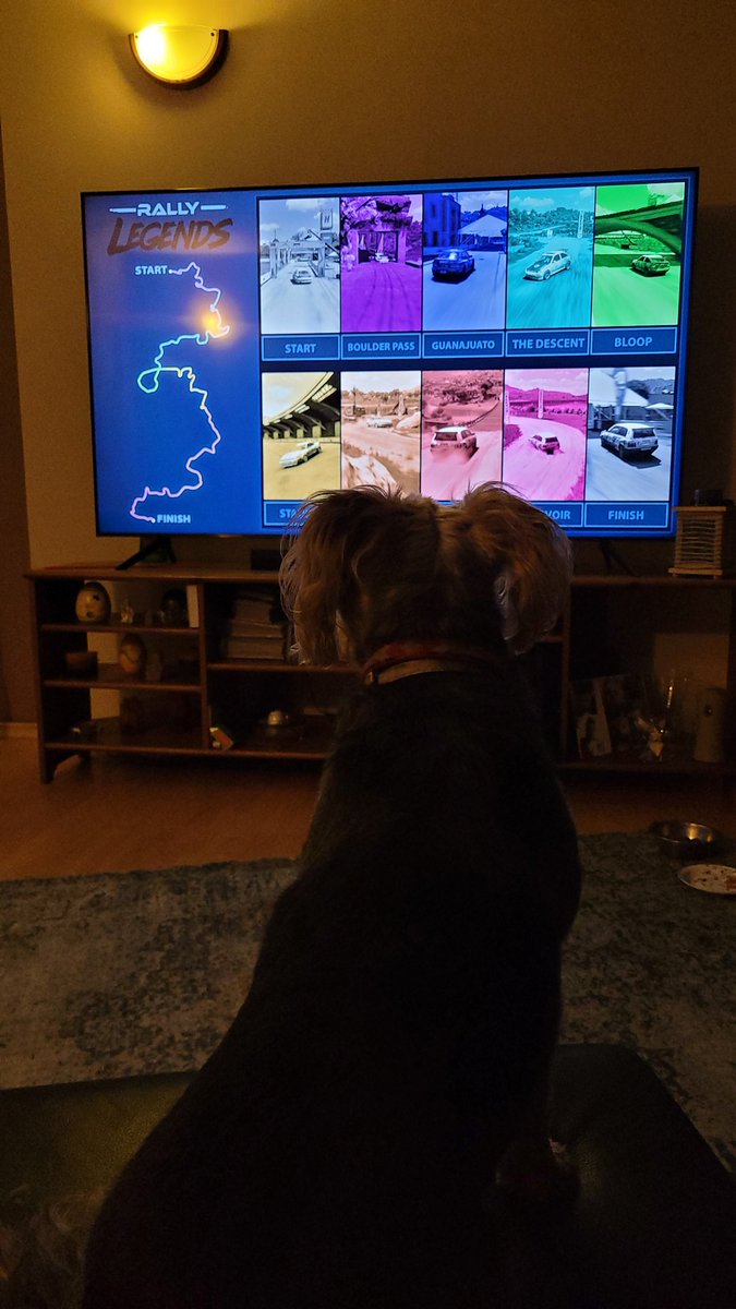 rally dog watching Rally Legends tournament in <a href="/ForzaHorizon/">Forza Horizon</a> made by <a href="/ForzaTeamWars/">Forza Team Wars</a>