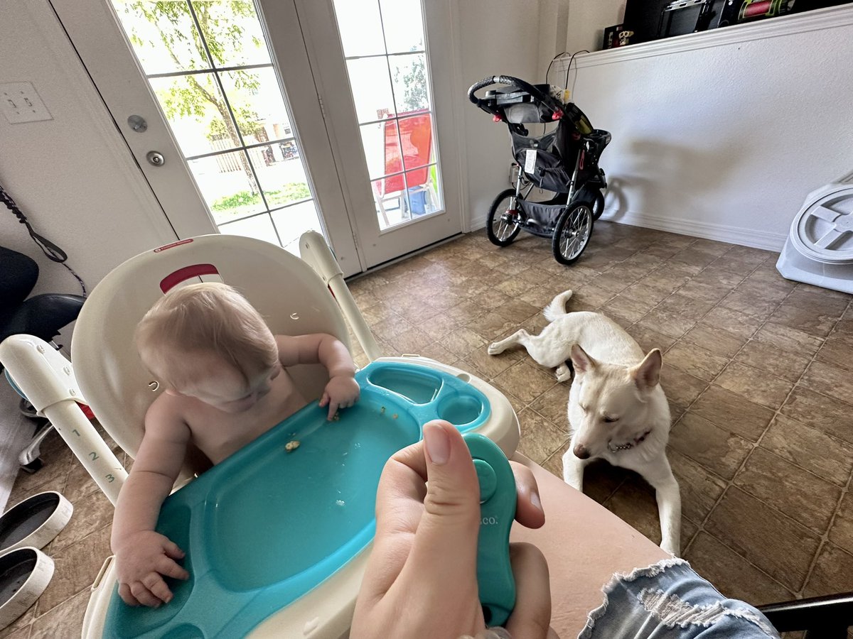 Goblin Mode Mom tweet media