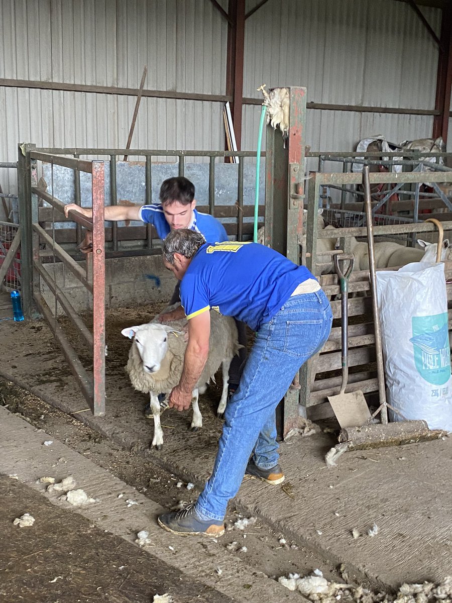 This week we celebrated our Favourite Blue 💙
First Class Honours, Bachelor of Science in Forensic Science with Criminology 
My goodness we’re feeling proud x

And then it was back to reality 👊🏼🐑😂 but still riding that high x
#ilyfe