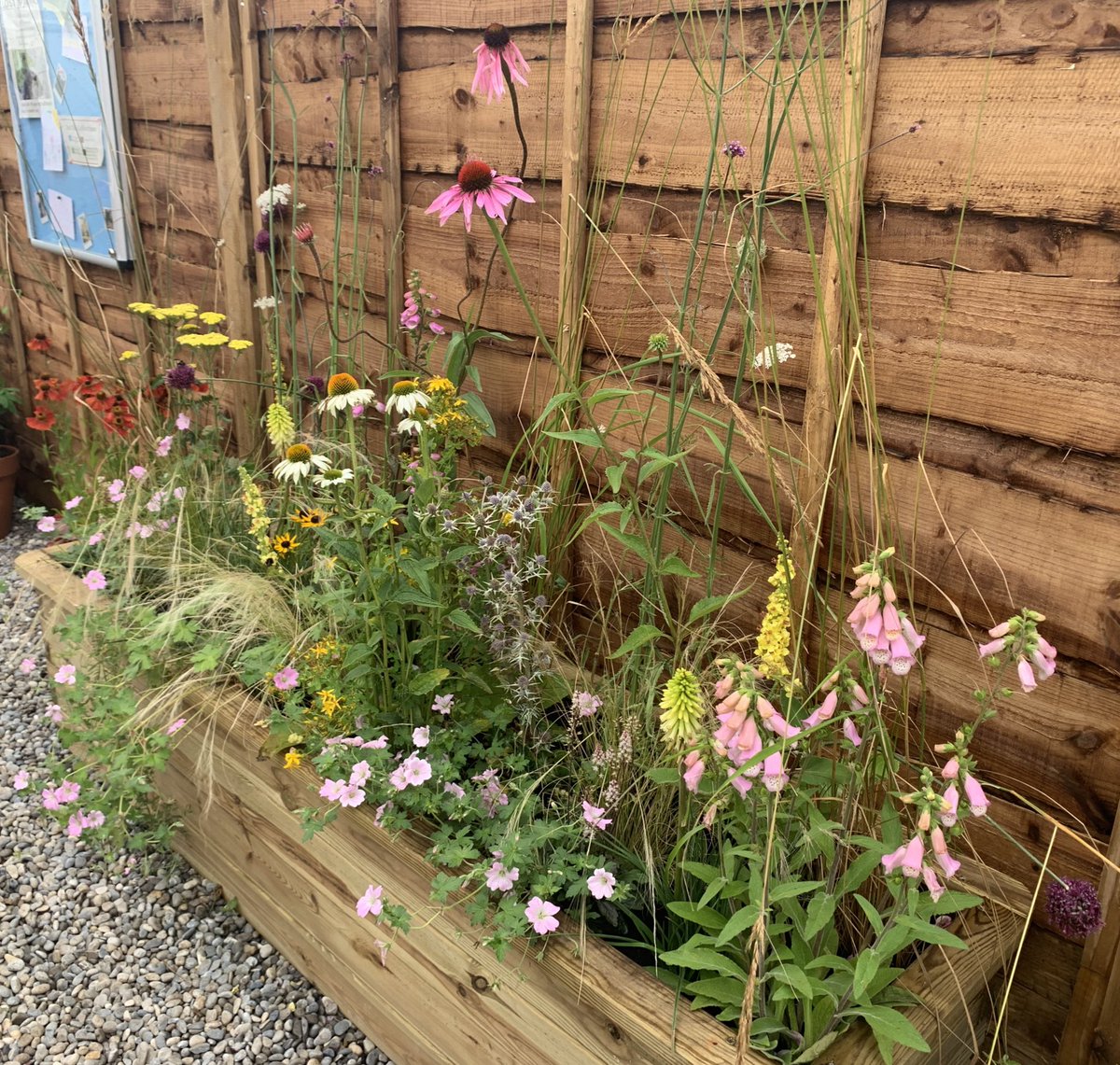 gardengeeker's tweet photo. We had a wonderful day @The_RHS Tatton Park show today, despite the rain🌧️ I particularly fell in love with all the naturalistic planting and have brought some grasses to try and emulate it at home 😊🌾🌸 #RHSTattonPark #gardening #flowers https://t.co/dRfqTp0cvM