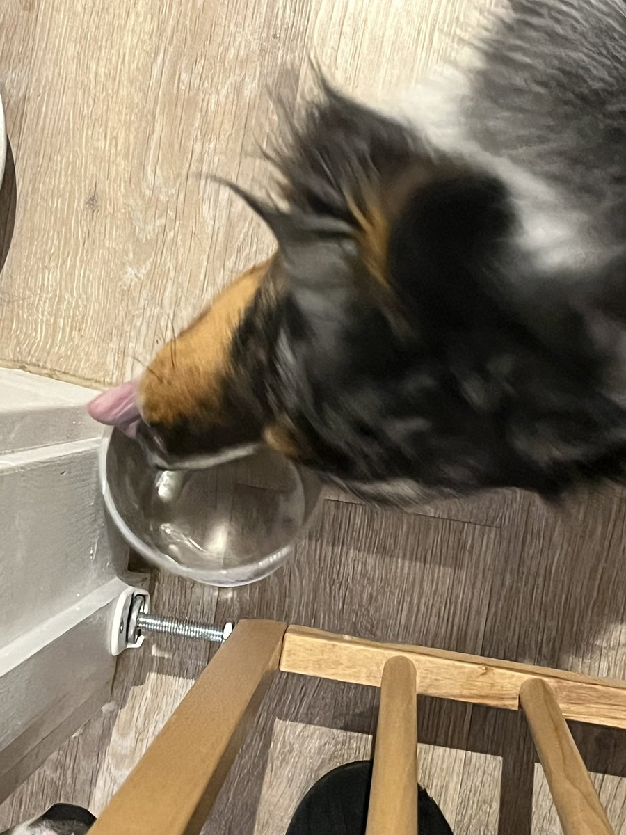 PerfectKaia's tweet photo. Gotta yoggit pot #tasty https://t.co/2eJjZgBev6