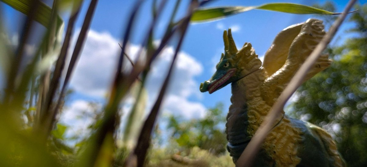 MoonShark4's tweet photo. Dodongo
#Ultraman #Dodongo #ウルトラマン #ドドンゴ https://t.co/ihCxKNjlCf