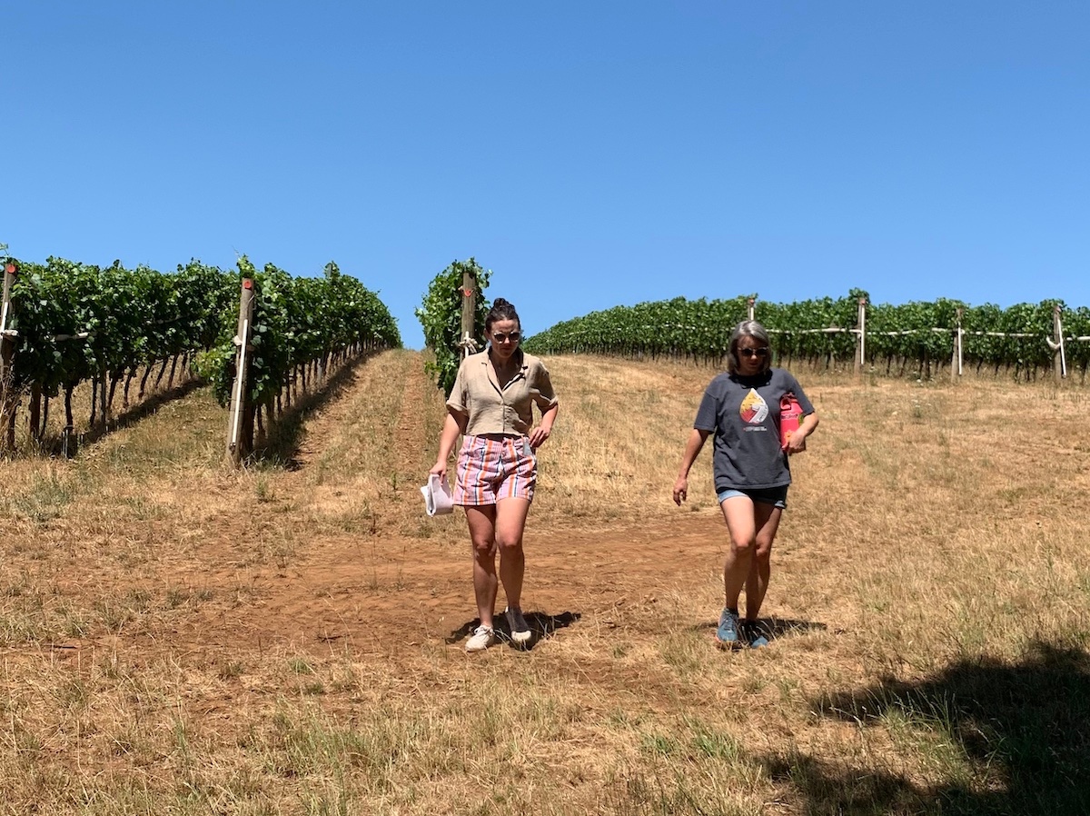 One of the nice parts of our job is checking on the vineyards that we work with over the summer. This year the vines look fantastic! #oregonwine #pinotnoir #eolaamityhills #wine #womenwinemakers