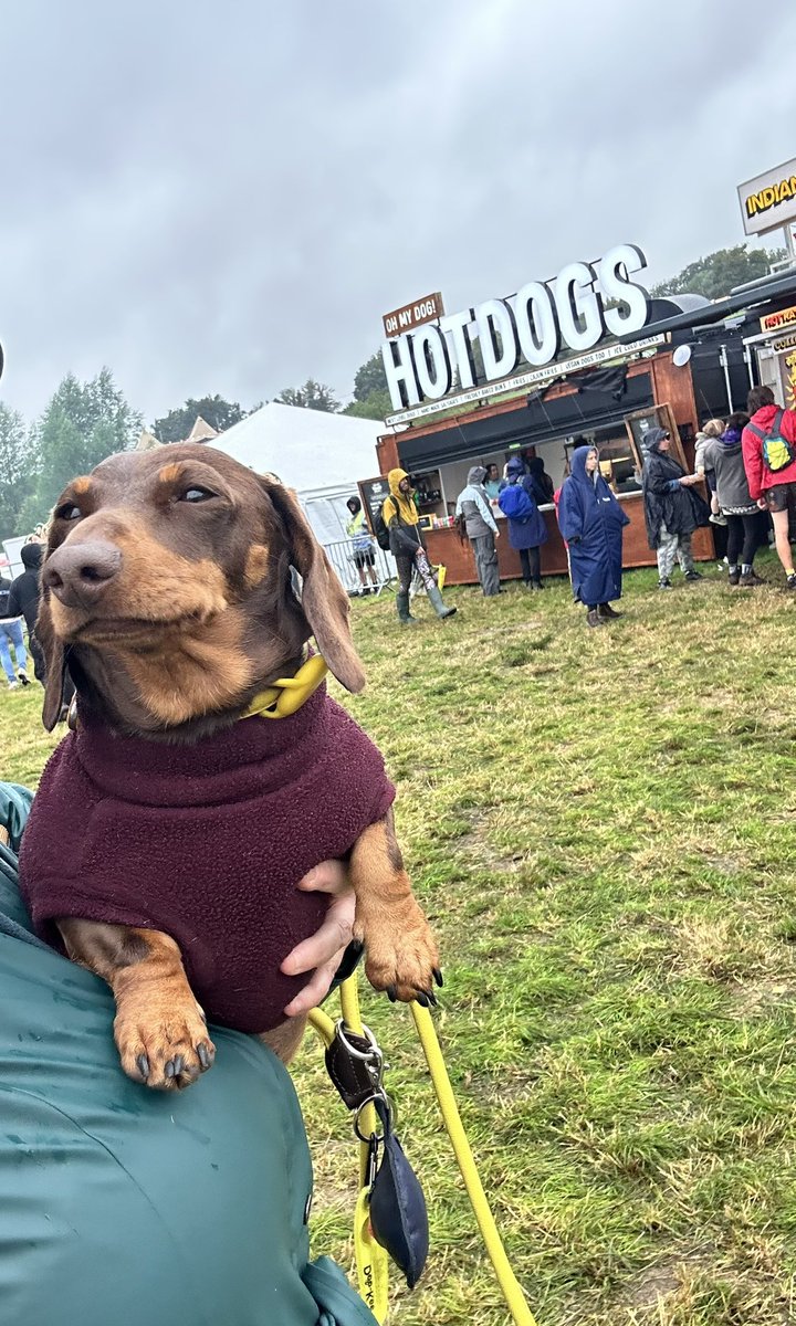 🐚 Shell Zenner 🐚 tweet media