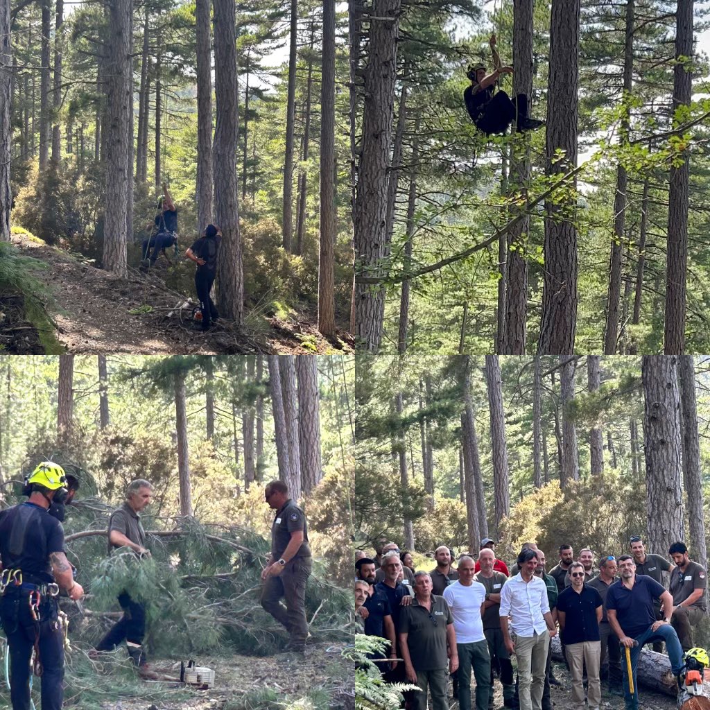 guidini_bruno's tweet image. Festa di u Legnu e di a Furesta #Vezzani # Noceta Démonstration élagage et abattage #Forsap  cellule Grimpeur Élagage @IsulaCorsica @paolini_julien