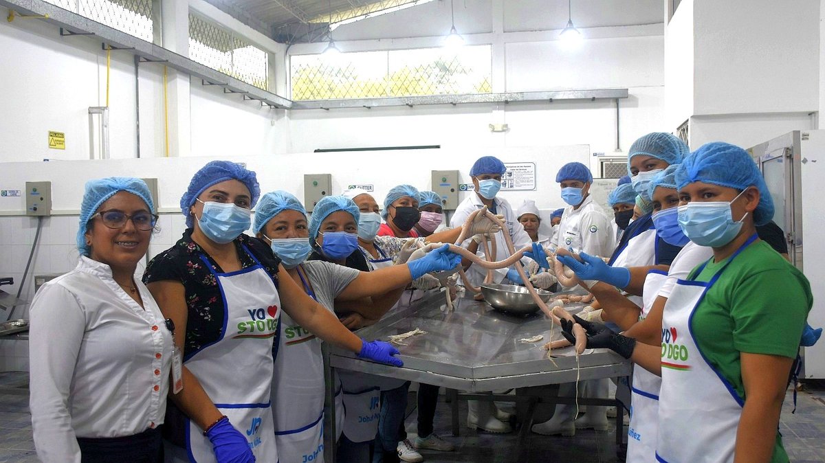 UTE_SD's tweet photo. #ComunicaciónUTE | Como parte de las actividades de vinculación, estudiante de la carrera de #Agroindustria, capacitan a mujeres emprendedoras en la elaboración de salchichas y chorizo ahumado. 💚💙
La actividad se desarrolló en la planta agroindustrial de nuestra sede.
#FCII https://t.co/mTBUW31XoI
