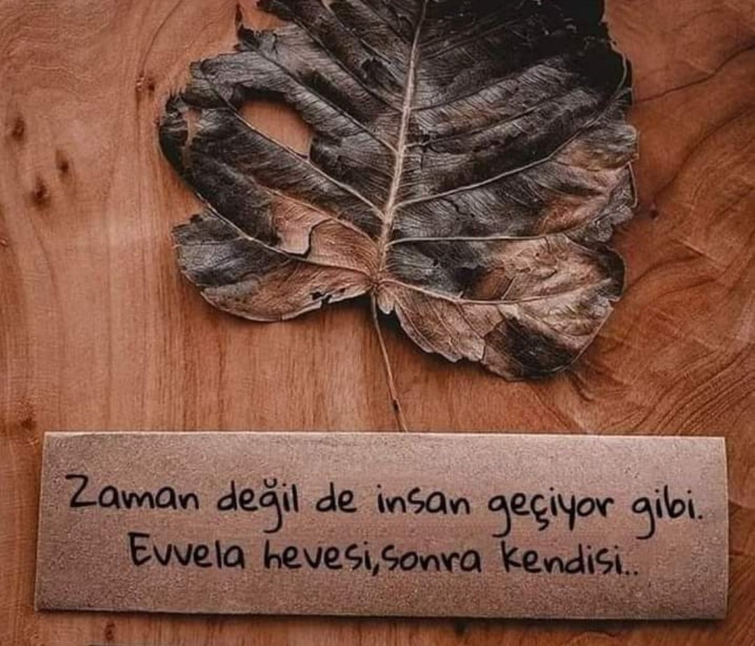 LykiaRt's tweet photo. https://t.co/e9j33BVcxJ