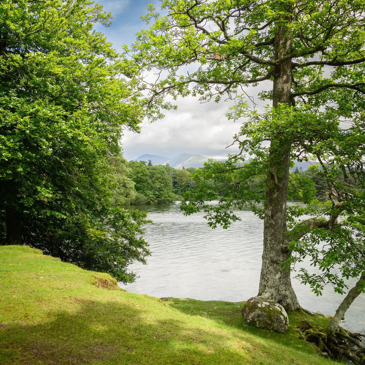 McDonaldBob1's tweet photo. A summertime Derwentwater...#landscapephotography #LakeDistrict #CUMBRIA #takeithomewithyou #leaveitasyoufoundit https://t.co/aSywx4y4IX