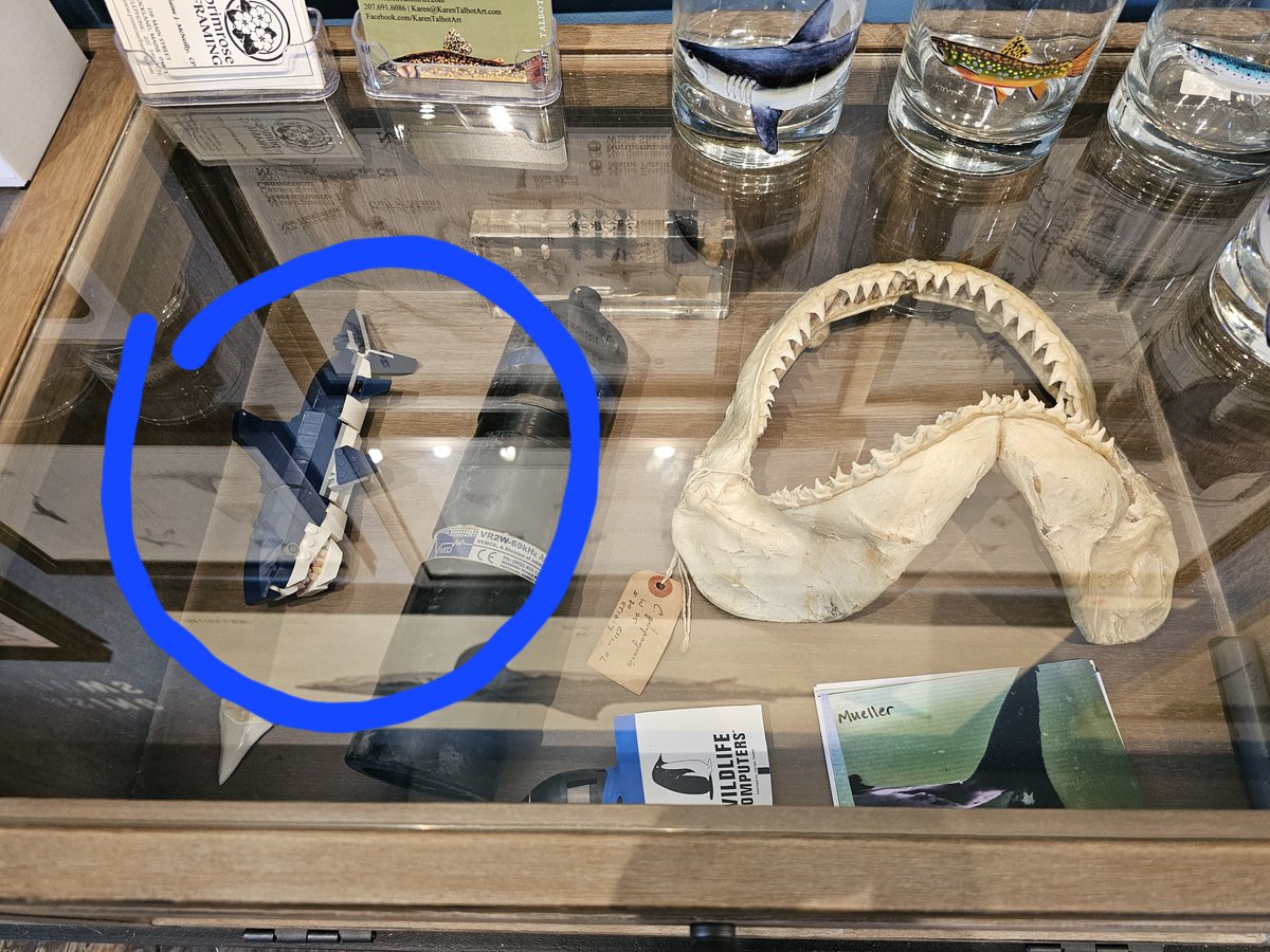 Ret Talbot (@rettalbot) on Twitter photo New shark on display in the Karen Talbot Art Gallery this weekend!
<a href="/KarenTalbotArt/">Karen Talbot Art</a>
#chasingshadows
#sharkart
#legoshark New shark on display in the Karen Talbot Art Gallery this weekend!
<a href="/KarenTalbotArt/">Karen Talbot Art</a>
#chasingshadows
#sharkart
#legoshark
